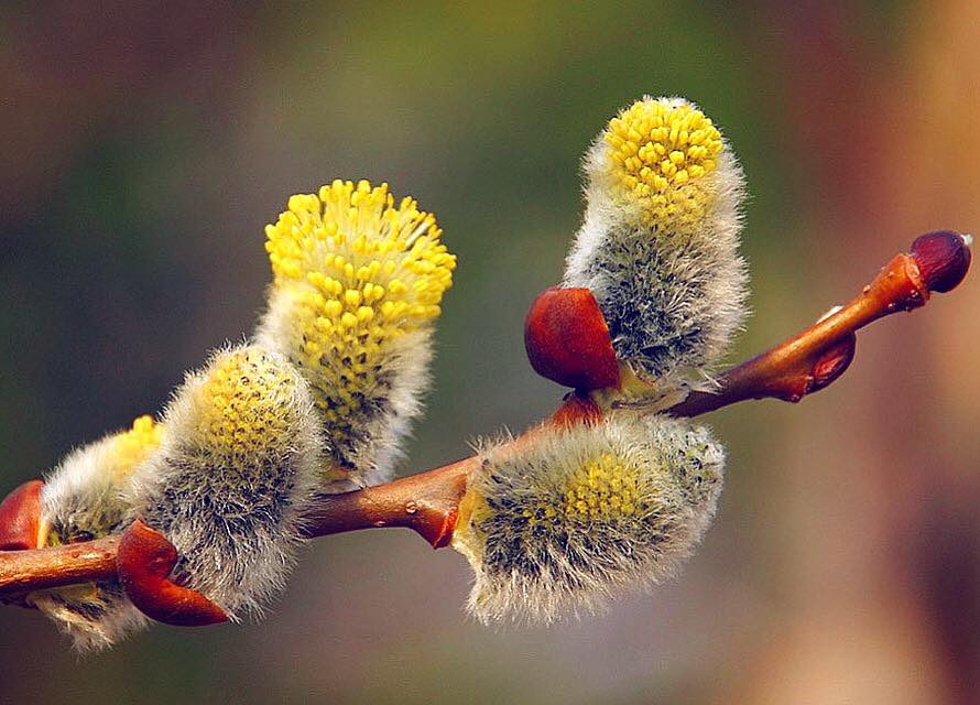 Физические и технологические свойства сжиженного газа